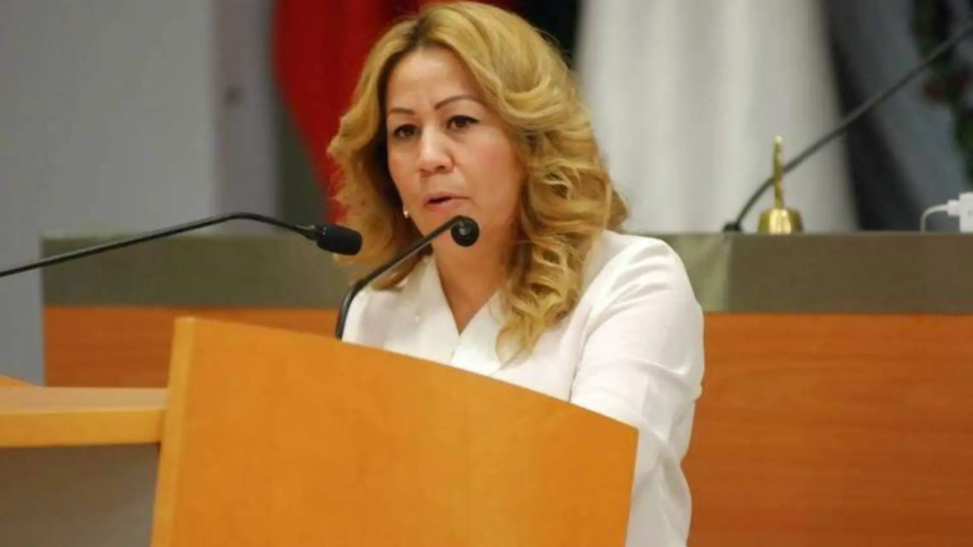 diputada marisela saenz